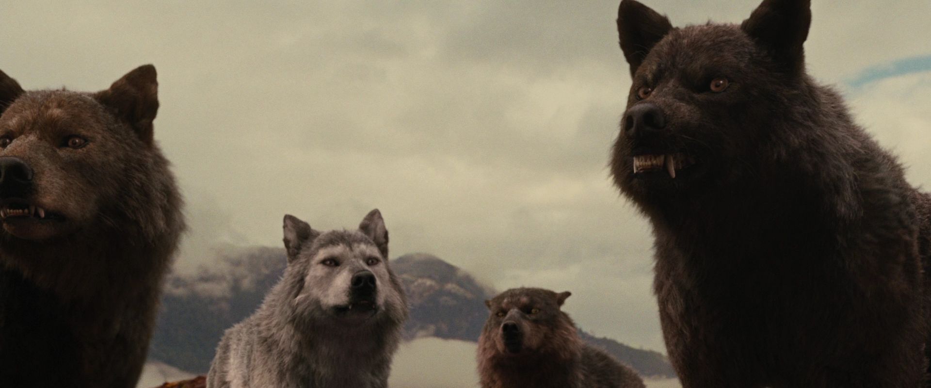 BreakingDawnPt1-2674.jpg