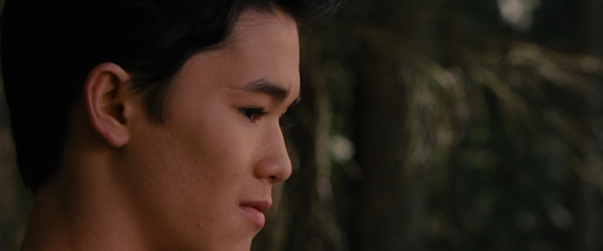 BreakingDawnPt1-2711.jpg