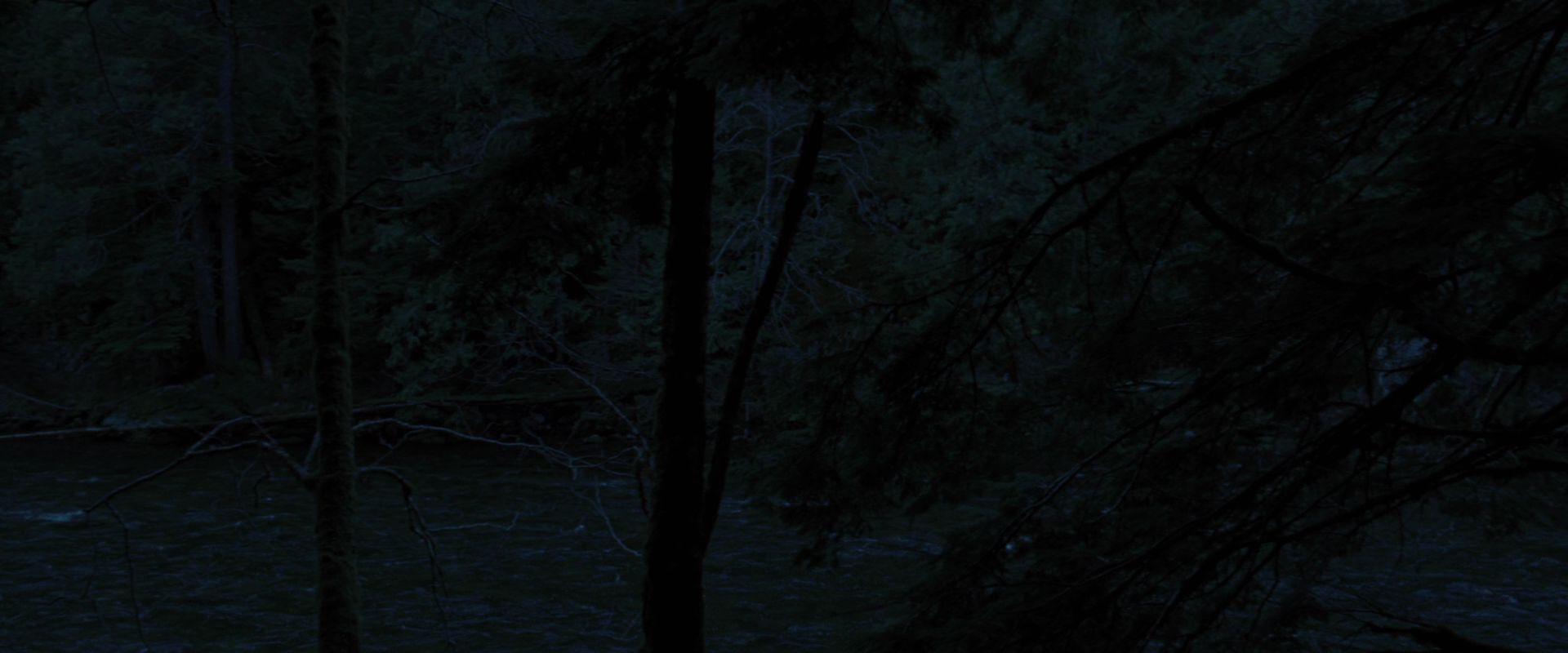 BreakingDawnPt1-2789.jpg