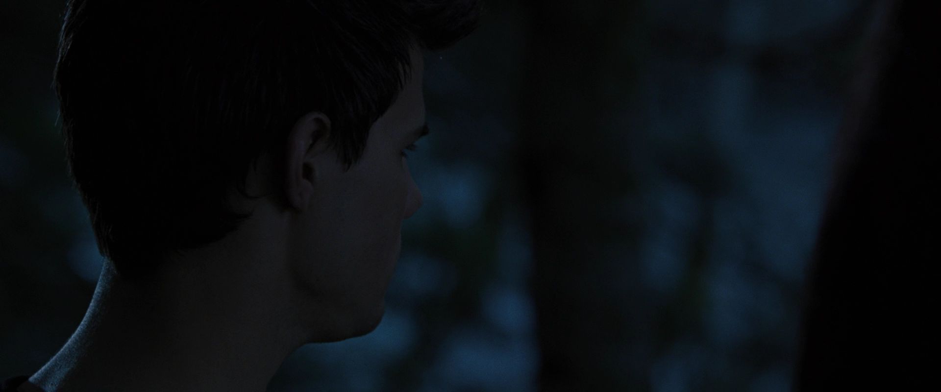 BreakingDawnPt1-2794.jpg