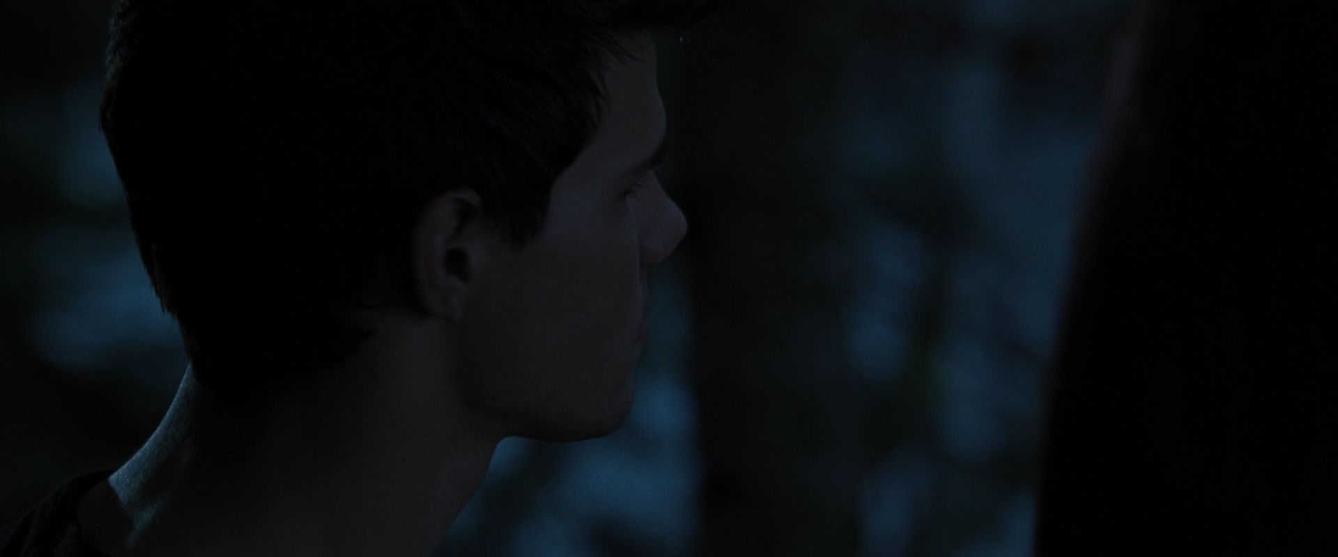BreakingDawnPt1-2802.jpg