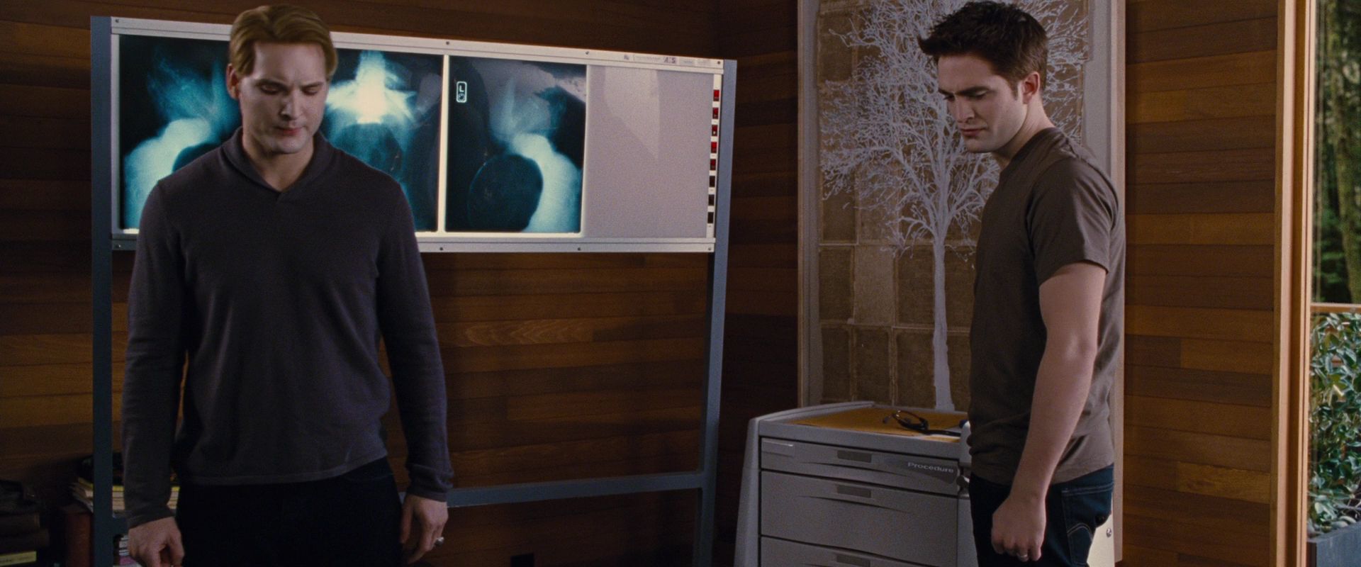 BreakingDawnPt1-2913.jpg