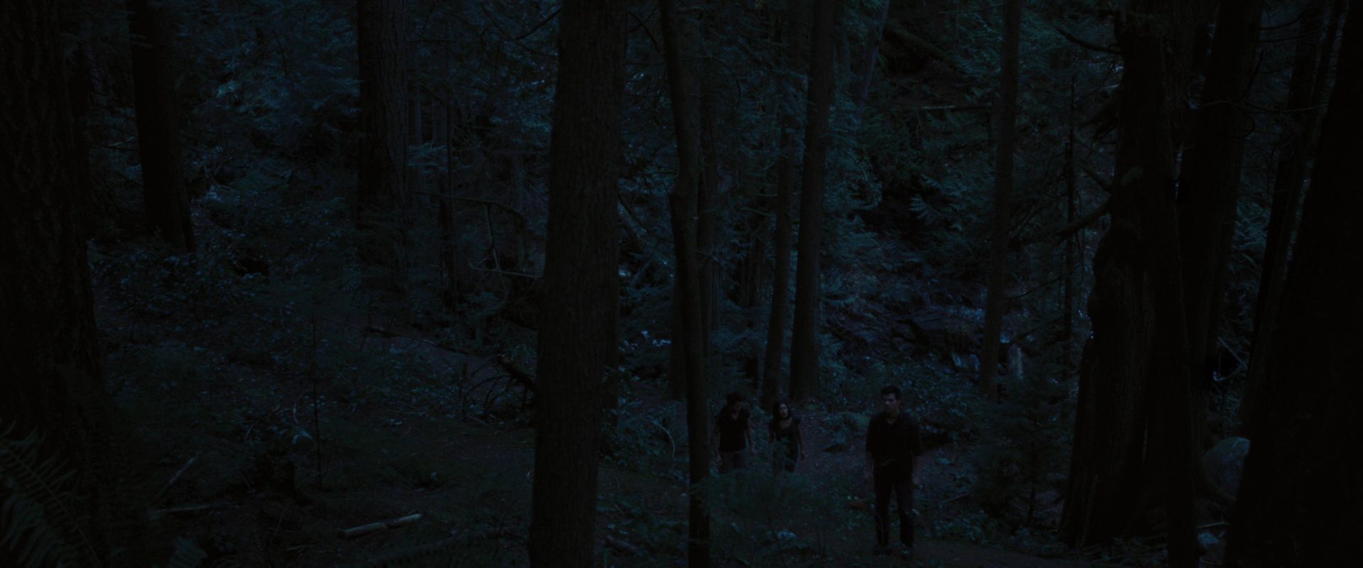 BreakingDawnPt1-3349.jpg