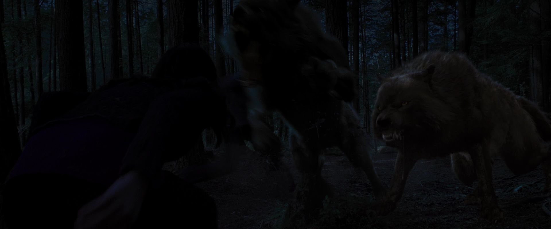 BreakingDawnPt1-3379.jpg