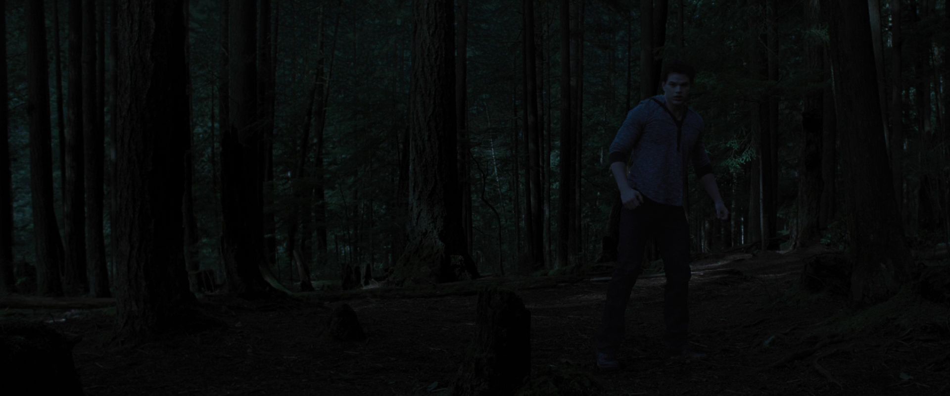 BreakingDawnPt1-3380.jpg