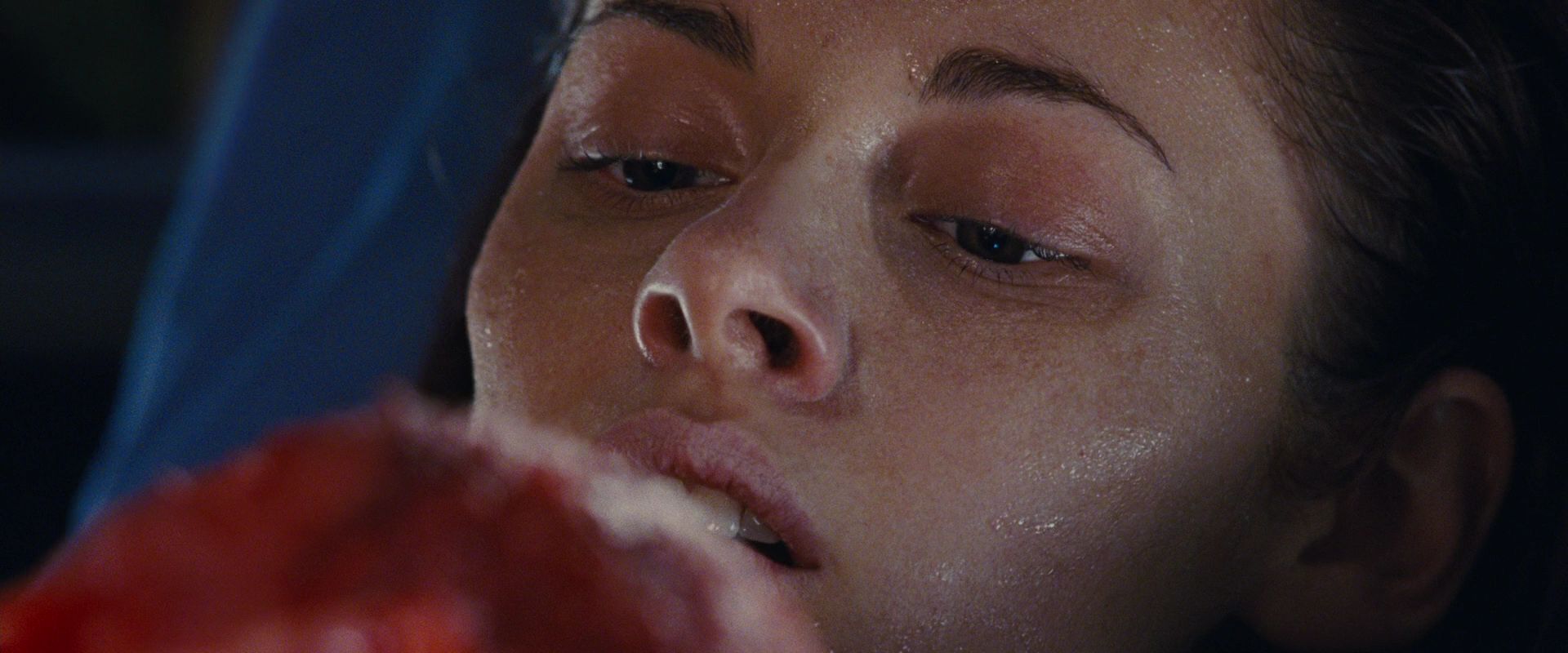 BreakingDawnPt1-3594.jpg