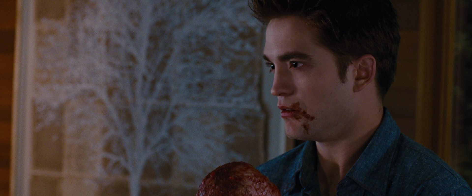 BreakingDawnPt1-3629.jpg