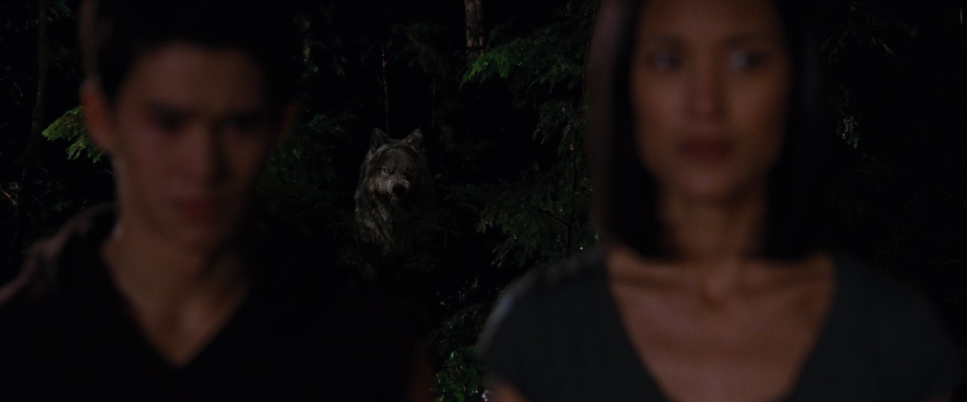 BreakingDawnPt1-3701.jpg