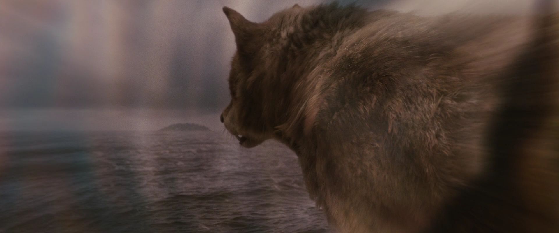 BreakingDawnPt1-3828.jpg