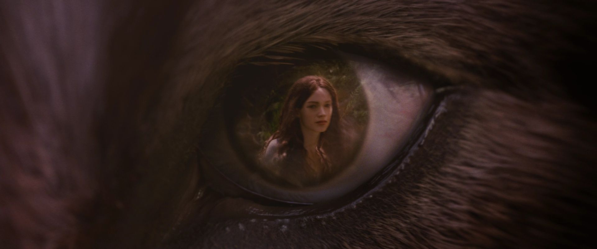 BreakingDawnPt1-3833.jpg