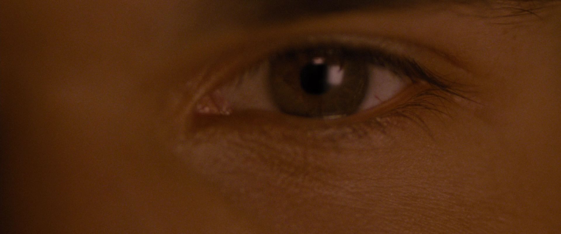 BreakingDawnPt1-3839.jpg