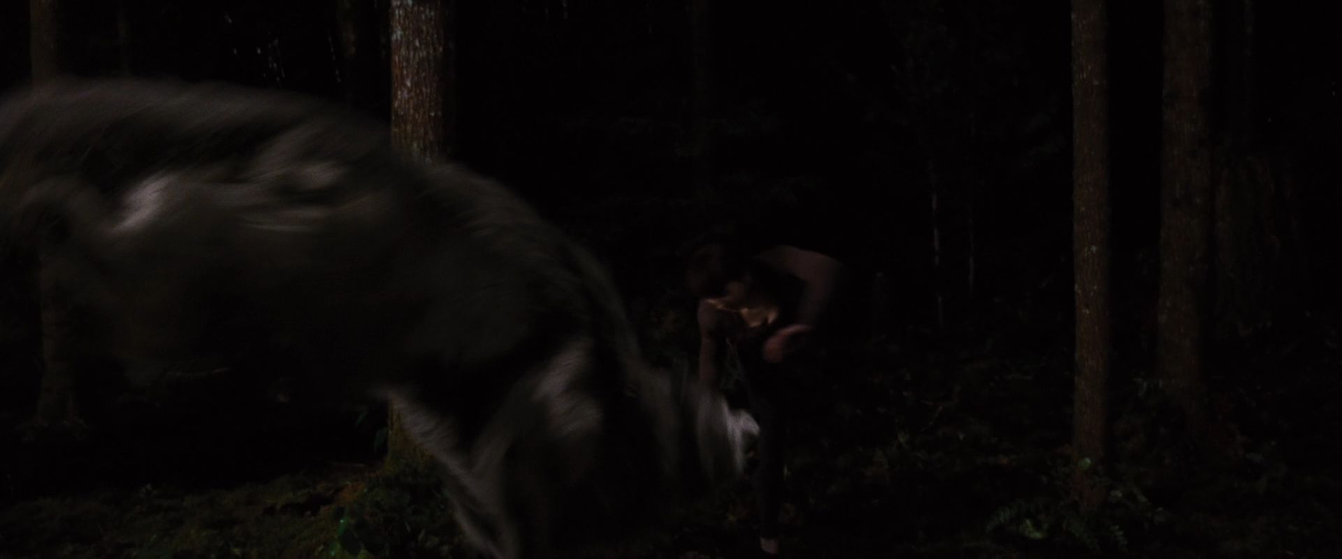 BreakingDawnPt1-3873.jpg