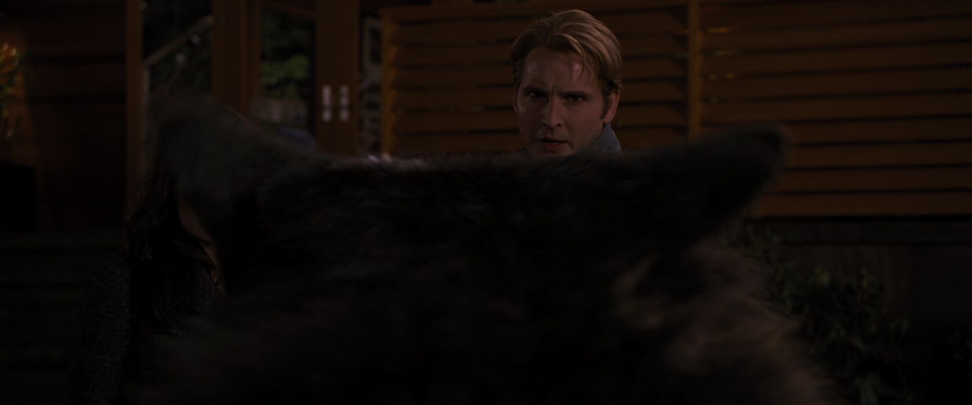 BreakingDawnPt1-3881.jpg