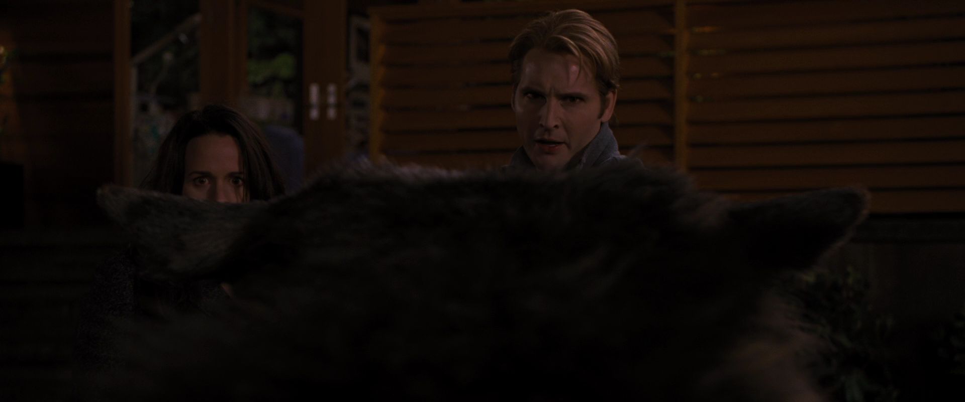 BreakingDawnPt1-3882.jpg