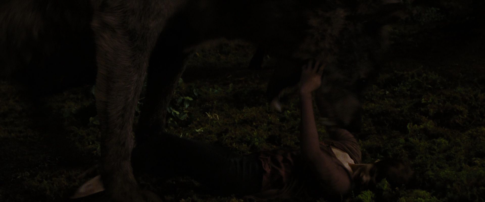 BreakingDawnPt1-3889.jpg