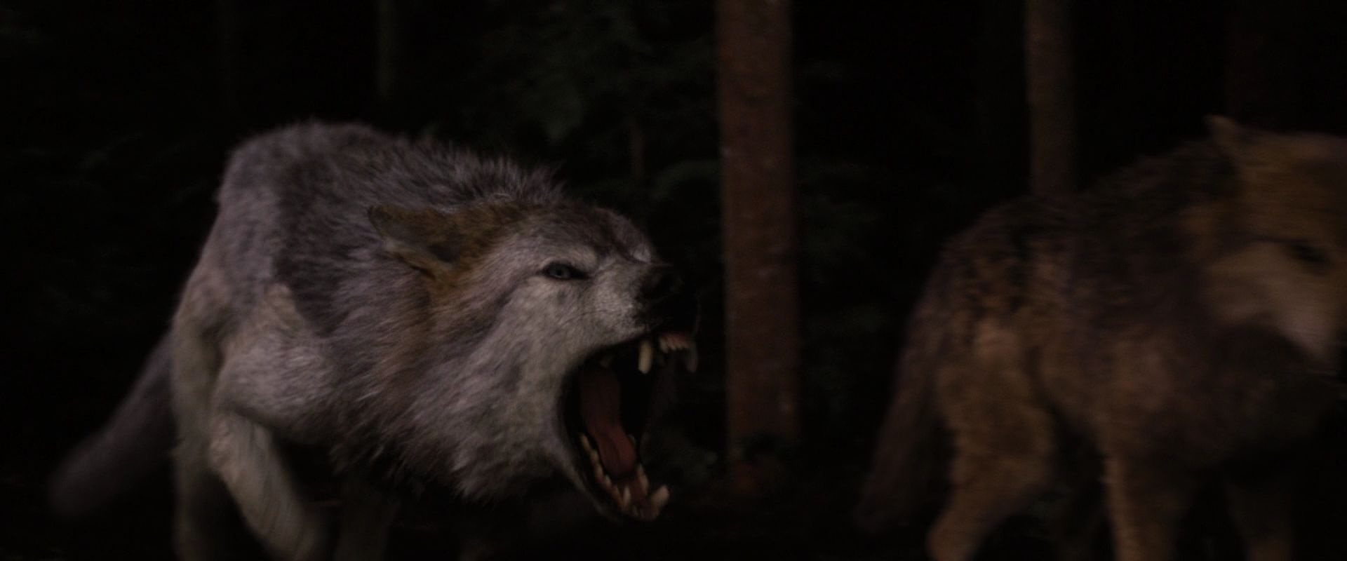 BreakingDawnPt1-3890.jpg