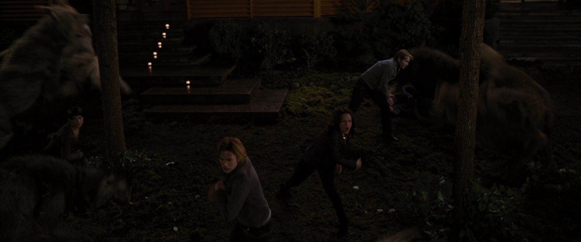 BreakingDawnPt1-3895.jpg