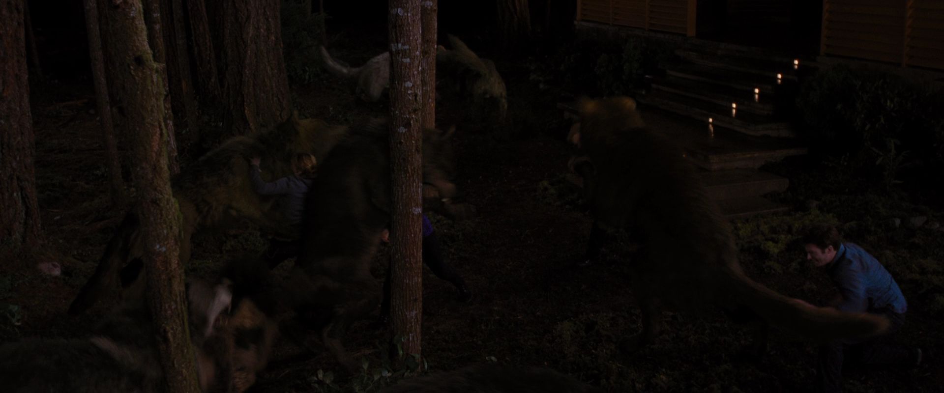 BreakingDawnPt1-3897.jpg