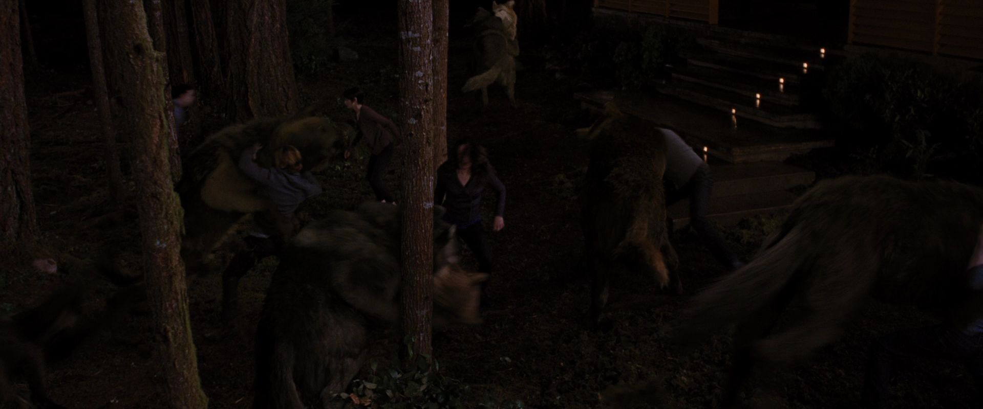 BreakingDawnPt1-3898.jpg