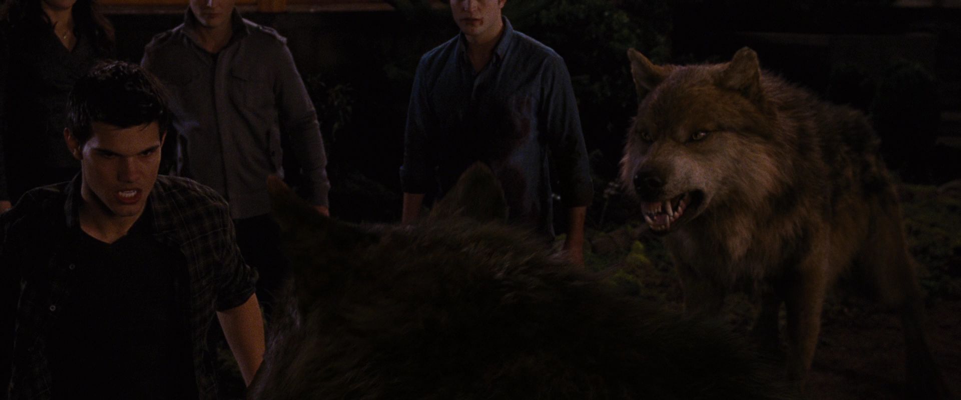 BreakingDawnPt1-3904.jpg