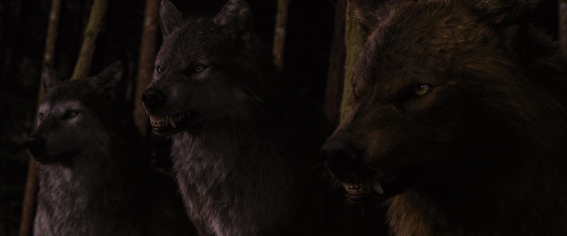 BreakingDawnPt1-3907.jpg