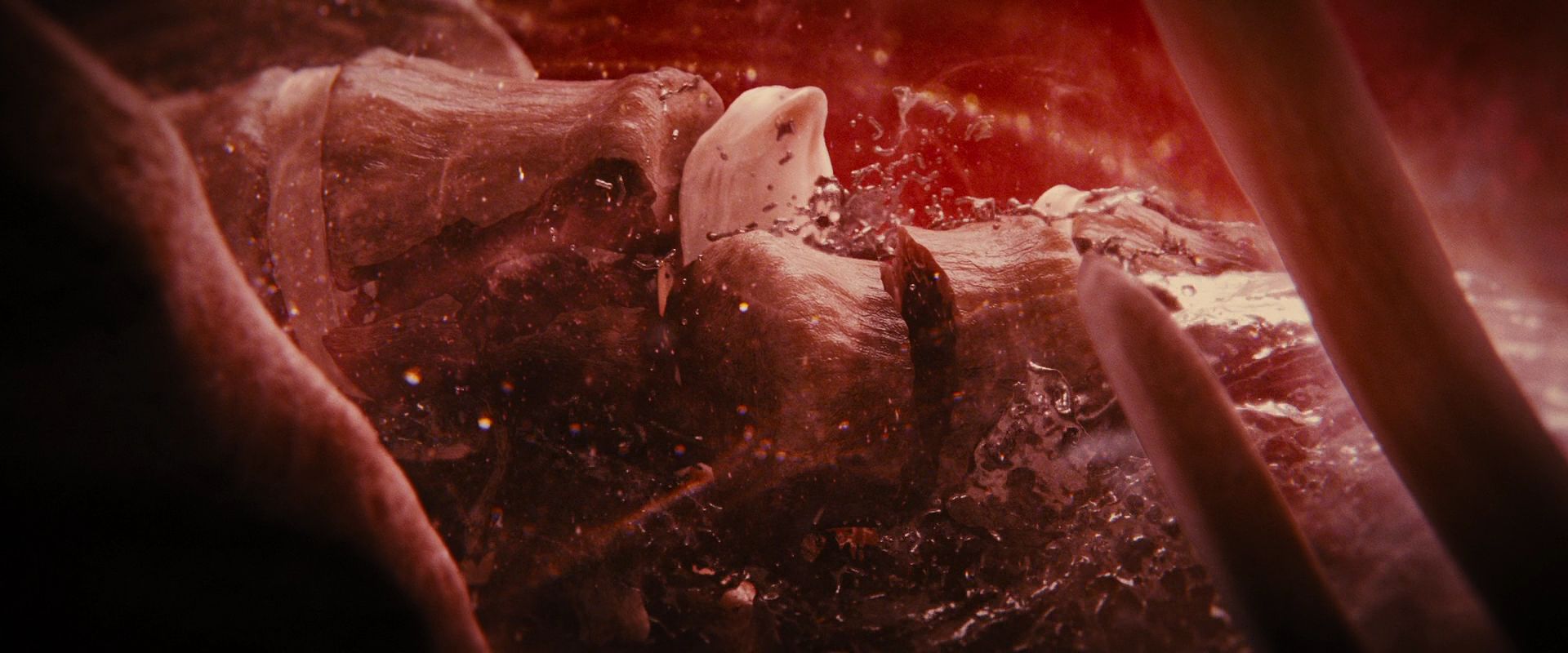 BreakingDawnPt1-3992.jpg