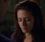 BreakingDawnPt1-0240.jpg