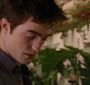 BreakingDawnPt1-2162.jpg