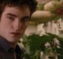 BreakingDawnPt1-2163.jpg