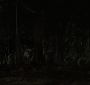 BreakingDawnPt1-3856.jpg
