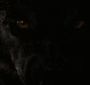 BreakingDawnPt1-3864.jpg