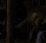 BreakingDawnPt1-3892.jpg