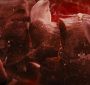 BreakingDawnPt1-3991.jpg