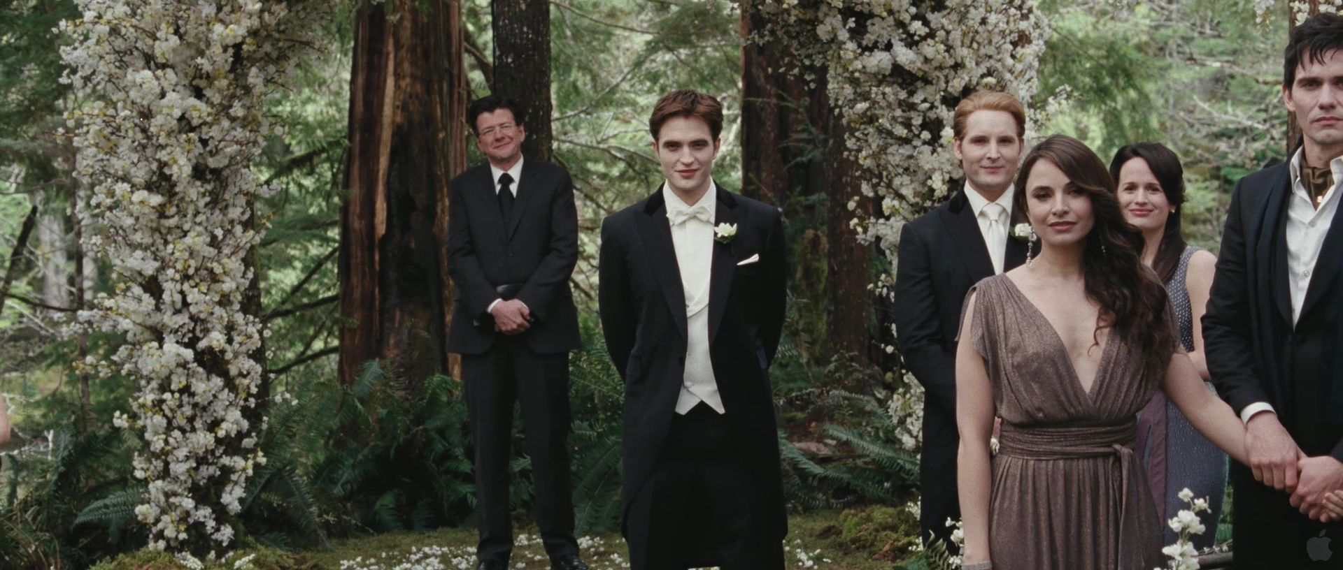 BreakingDawnPt1Teaser0050.jpg