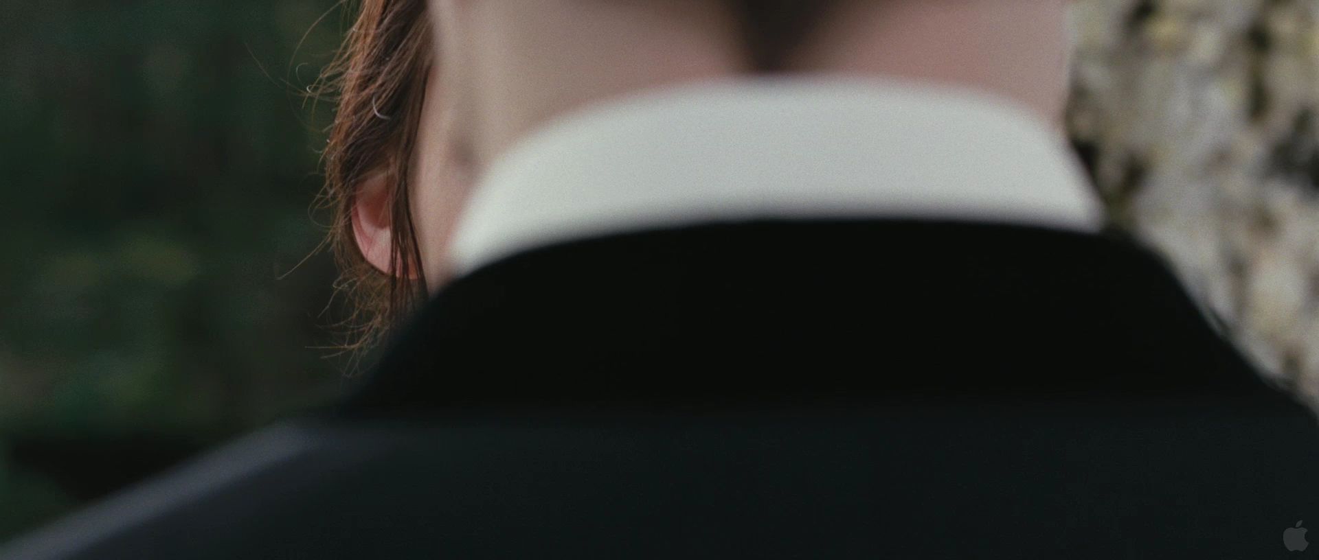 BreakingDawnPt1Teaser0053.jpg