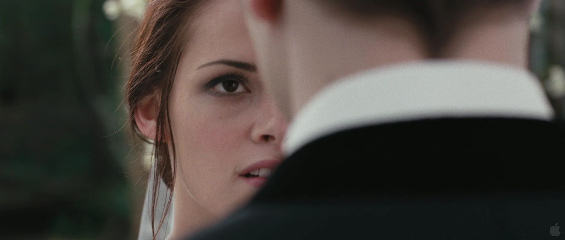 BreakingDawnPt1Teaser0056.jpg