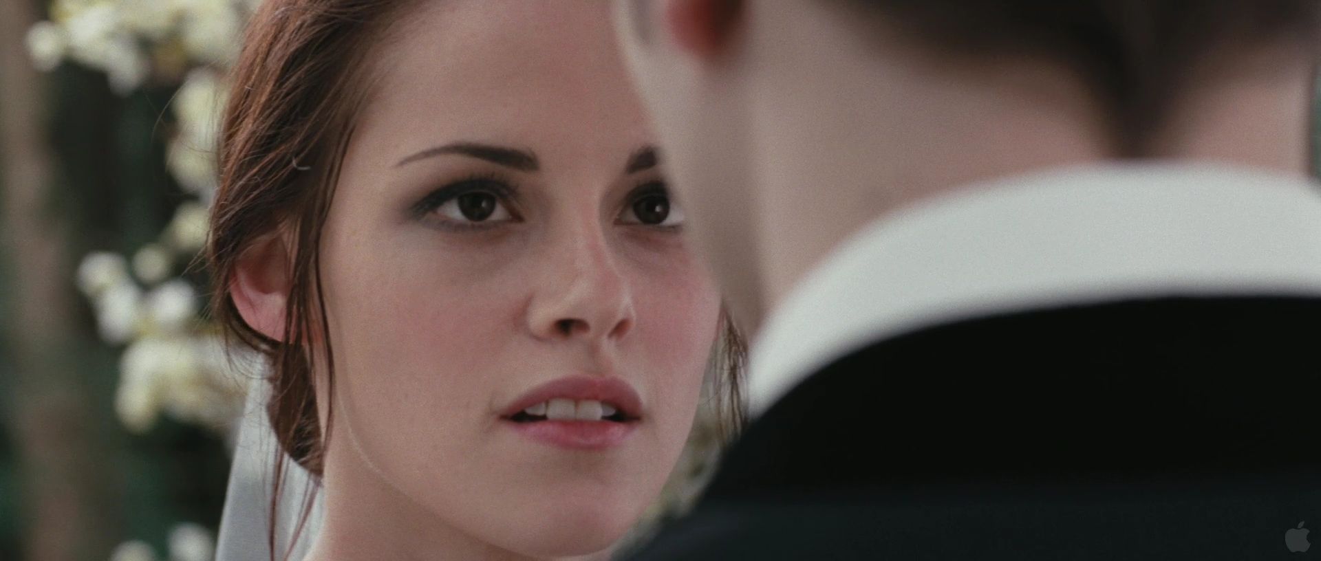 BreakingDawnPt1Teaser0059.jpg
