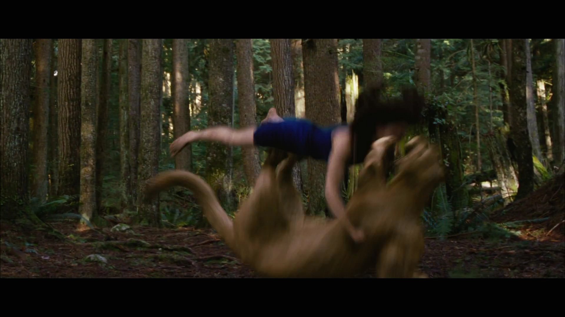 BDPt2Trailer0020.jpg