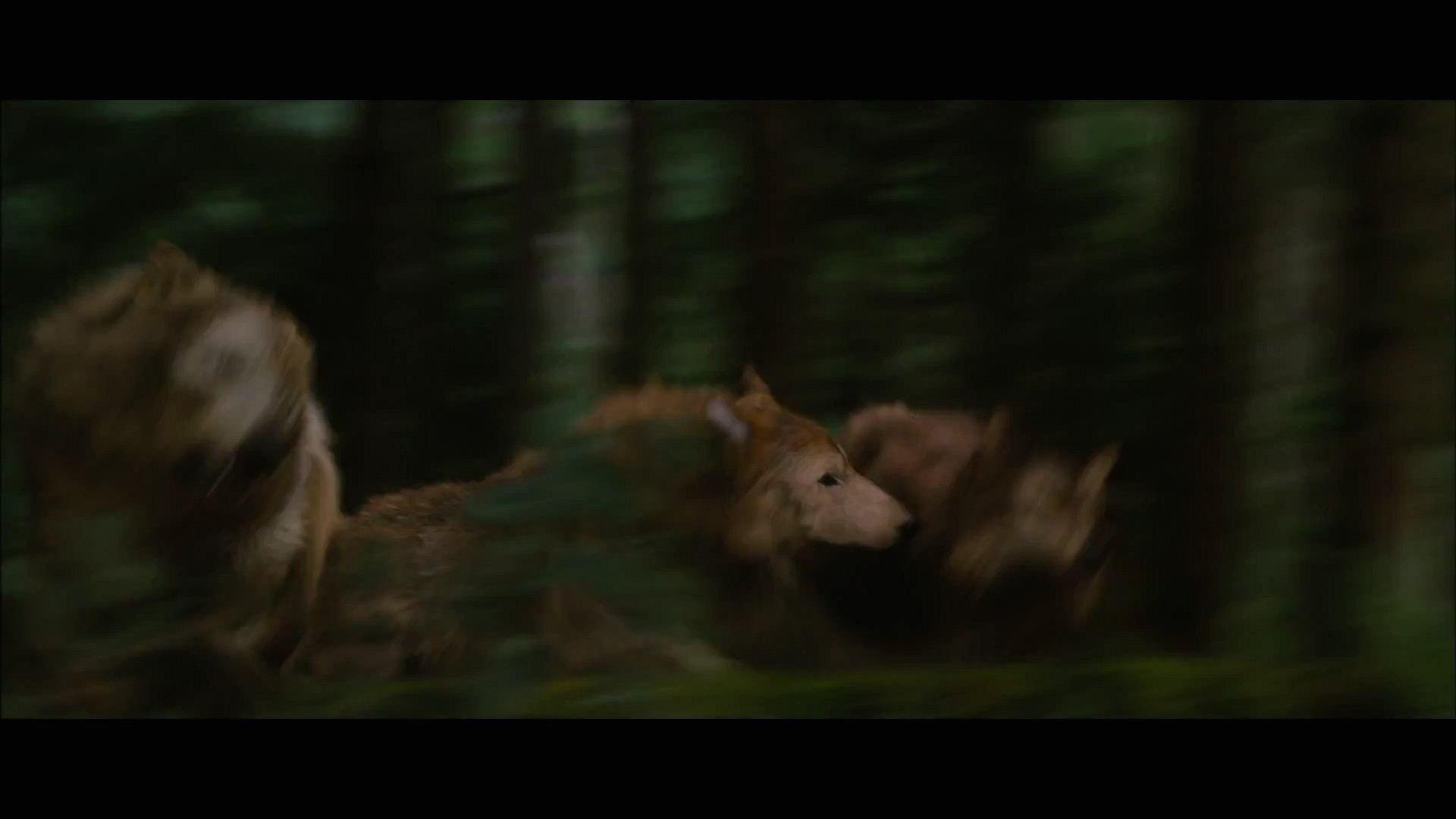 BDPt2Trailer0120.jpg