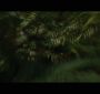 BDPt2Trailer0115.jpg