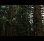BDPt2Trailer0118.jpg