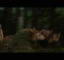 BDPt2Trailer0120.jpg