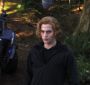 EclipseVampireArmy0123.jpg