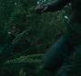 EclipseTrailer0073.jpg