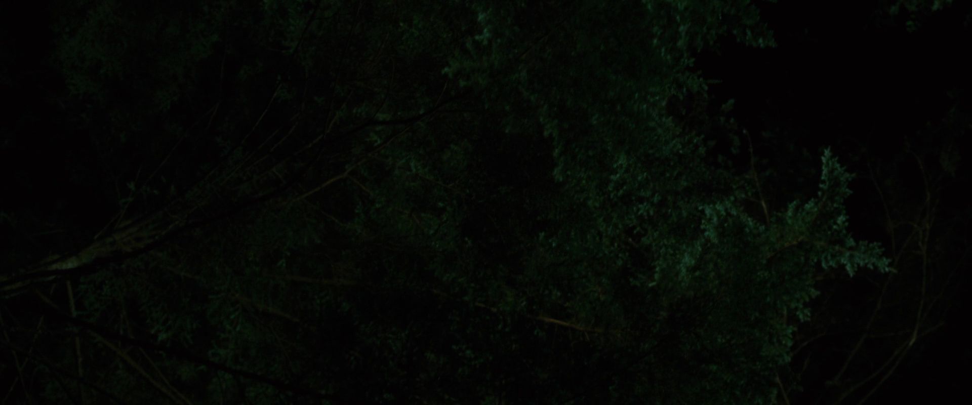 NewMoon0892.jpg