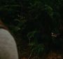 NewMoon1978.jpg