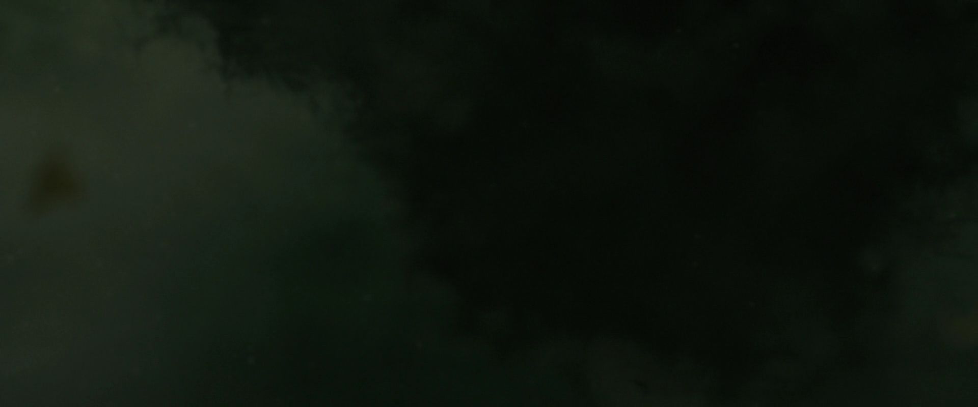 NewMoon2681.jpg
