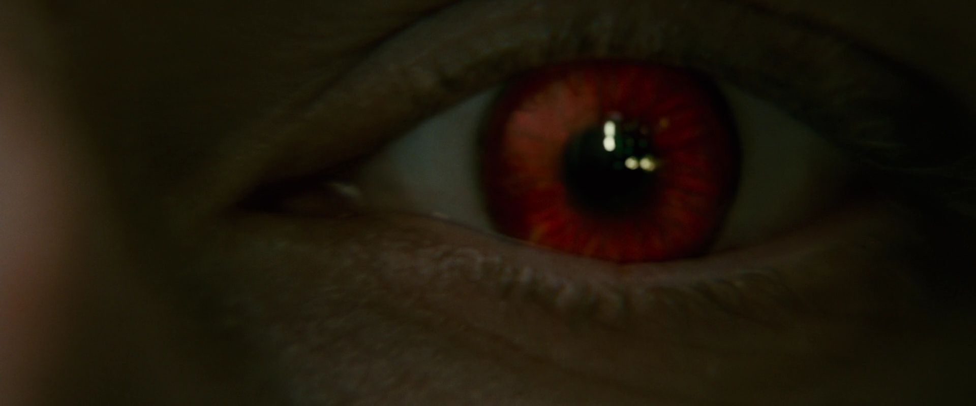 NewMoon3682.jpg
