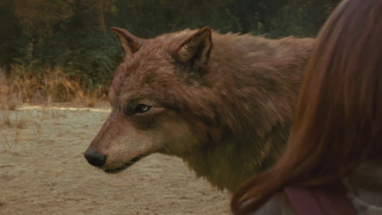 NewMoonTVSpot0014.jpg