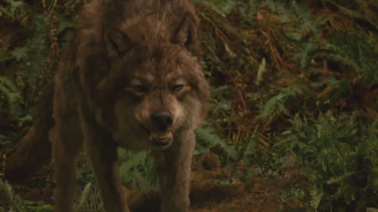 NewMoonTVSpot0023.jpg